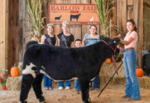 2025 Barlow Independent Fair Market Livestock Auction