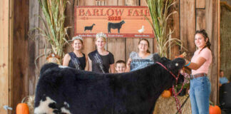 2025 Barlow Independent Fair Market Livestock Auction