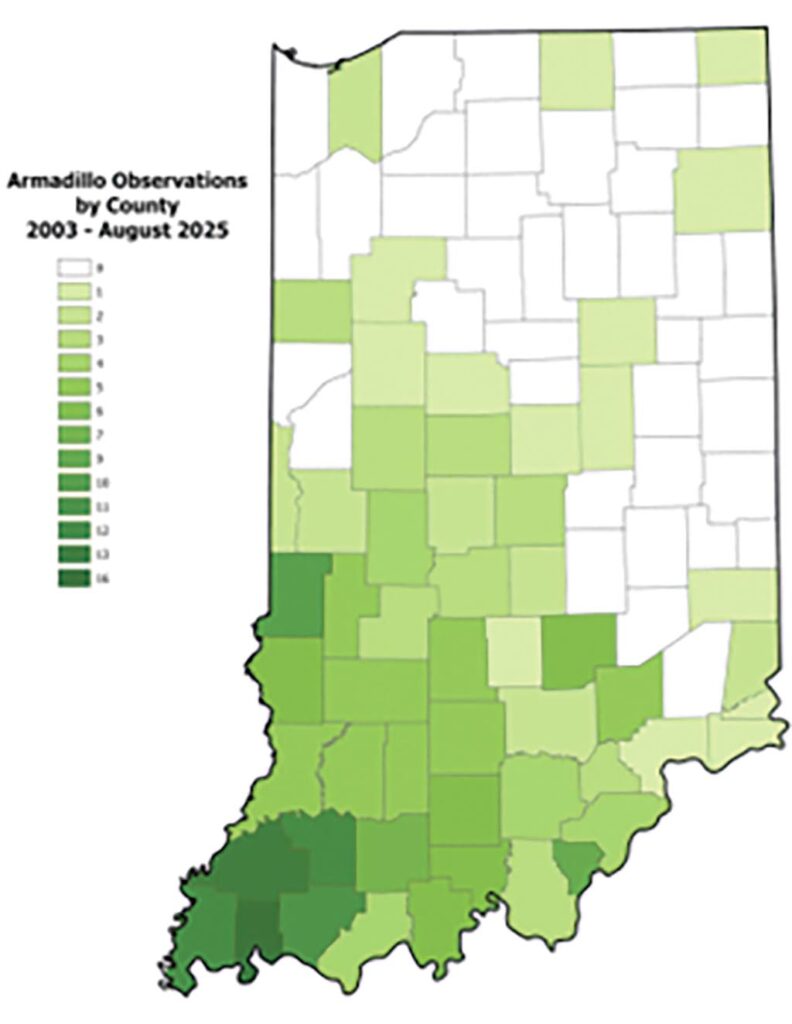 armadillo distribution map