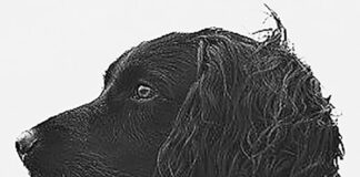 I wait for autumn briar