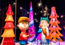 Charlie Brown headed to McKinley Presidential Library & Museum charlie brown