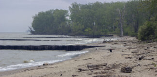 Experts push for smarter water management in Great Lakes