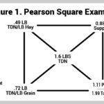 How to use a Pearson Square