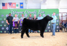 2025 Wayne County Junior Fair Sale Results