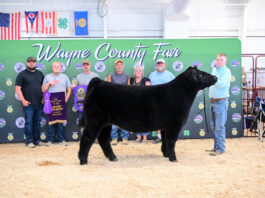 2025 Wayne County Junior Fair Sale Results