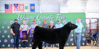 2025 Wayne County Junior Fair Sale Results