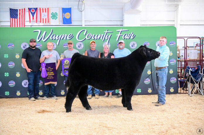 GRAND CHAMPION MARKET STEER: CHASE WHARTON