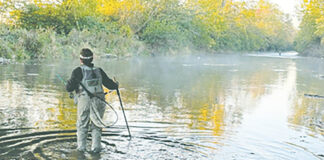 Happily going mad Wading the Mad