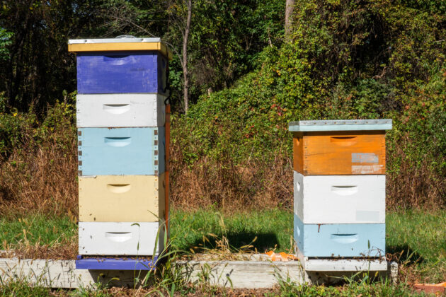 Chatham University Eden Hall campus