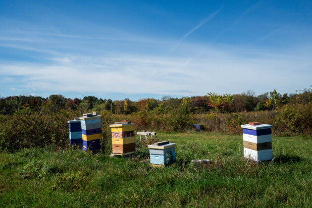 Chatham University Eden Hall Campus