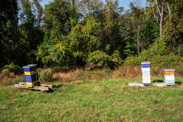 Chatham University Eden Hall Campus