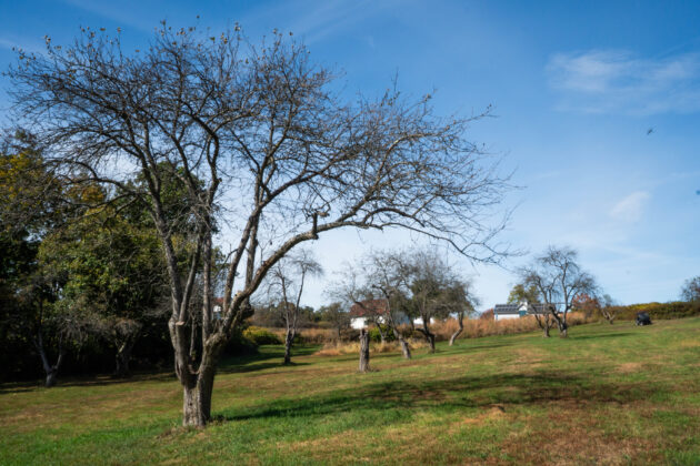 Chatham University Eden Hall Campus