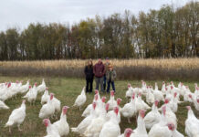 Ohio farm preserves worker’s turkey tradition for Thanksgiving kisamore family