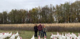 Ohio farm preserves worker’s turkey tradition for Thanksgiving kisamore family
