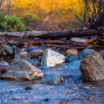 Don’t get jammed by log jams stream