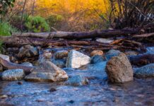 Don’t get jammed by log jams stream