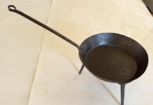 Spiders and salamanders were denizens of early fireplaces spider