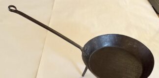 Spiders and salamanders were denizens of early fireplaces spider