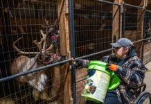 Apthorp Farms offers handicap-accessible reindeer tours in northwestern Pa.