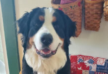 Resolution revamp and a plan for the new year