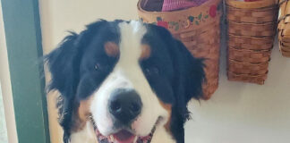 Resolution revamp and a plan for the new year