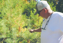 Carbon credit markets help rural landowners hold on to their land