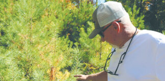 Carbon credit markets help rural landowners hold on to their land