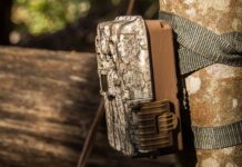 The Hunter’s Honor System: Why some states are banning trail cameras
