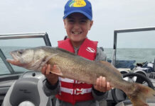 2025 walleye hatch ranks among largest in Lake Erie history