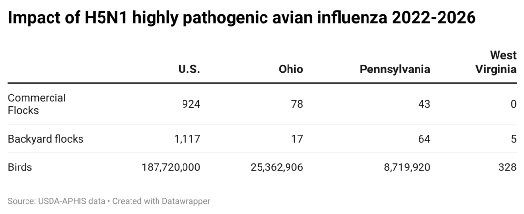 H5N1 bird flu outbreak enters fourth year in U.S. - Farm and Dairy