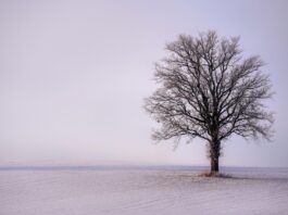 Tough times are better faced together