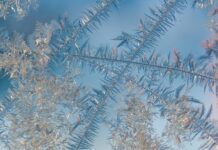 Childhood memories of magic on the farm pond