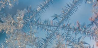 Childhood memories of magic on the farm pond