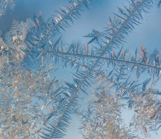 Childhood memories of magic on the farm pond
