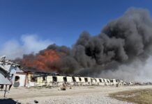 Fire at Madison County, Ohio, farm kills 6,000 hogs