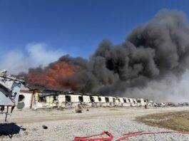 Fire at Madison County, Ohio, farm kills 6,000 hogs