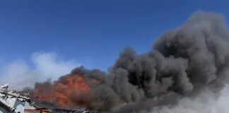 Fire at Madison County, Ohio, farm kills 6,000 hogs