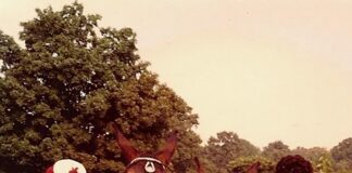 Not the same old crap: The high-tech future of manure management