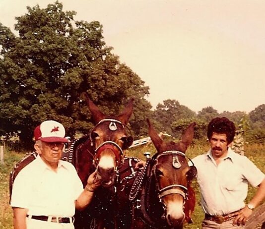 Not the same old crap: The high-tech future of manure management