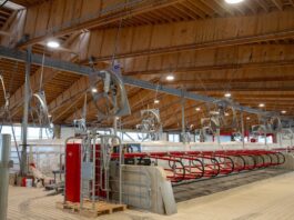 Bringing the cows home to Columbus