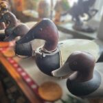 The King of the Marsh: Why the canvasback duck depends on wetland conservation