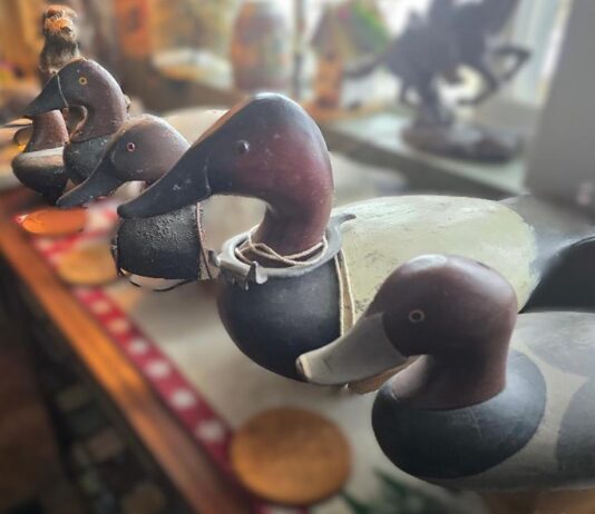 The King’s Kingdom and a success story