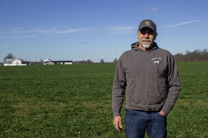 Greg steffen dairy triticale