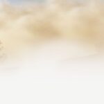 The fog calendar: A blizzard validates ancient folk wisdom