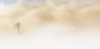 The fog calendar: A blizzard validates ancient folk wisdom