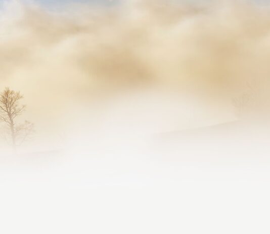 The fog calendar: A blizzard validates ancient folk wisdom