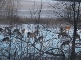 Weather, you like it or not