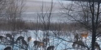 Weather, you like it or not