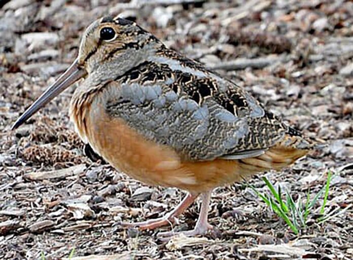 FEATURE PHOTO by Inga SchmidtRGB