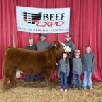 Three generations of Ohio family find success with Simmentals